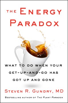 Cover image for The Energy Paradox